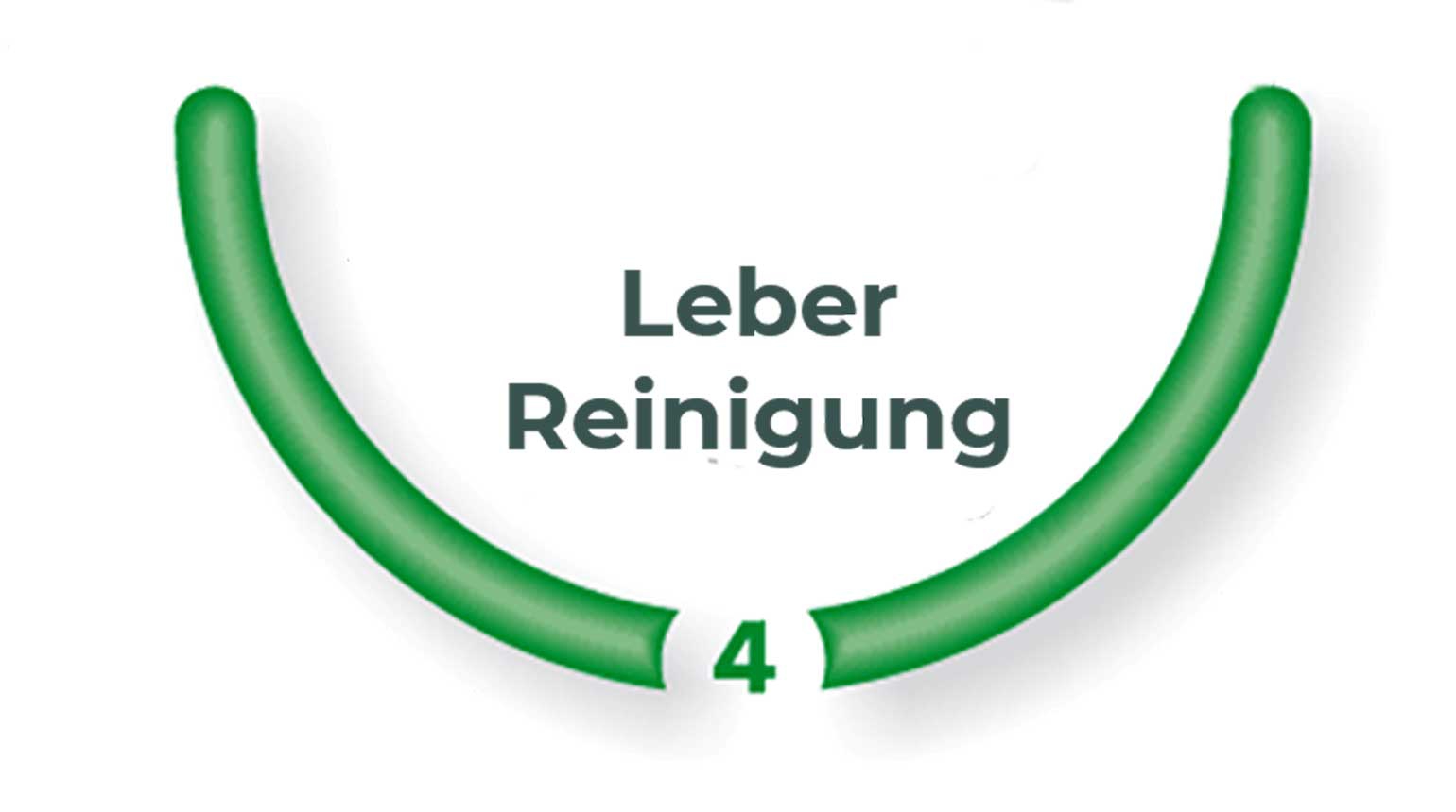 pbc-leber-reinigung-komprimiert.1569086963.jpg